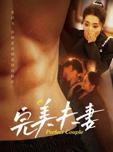完美夫妻海报